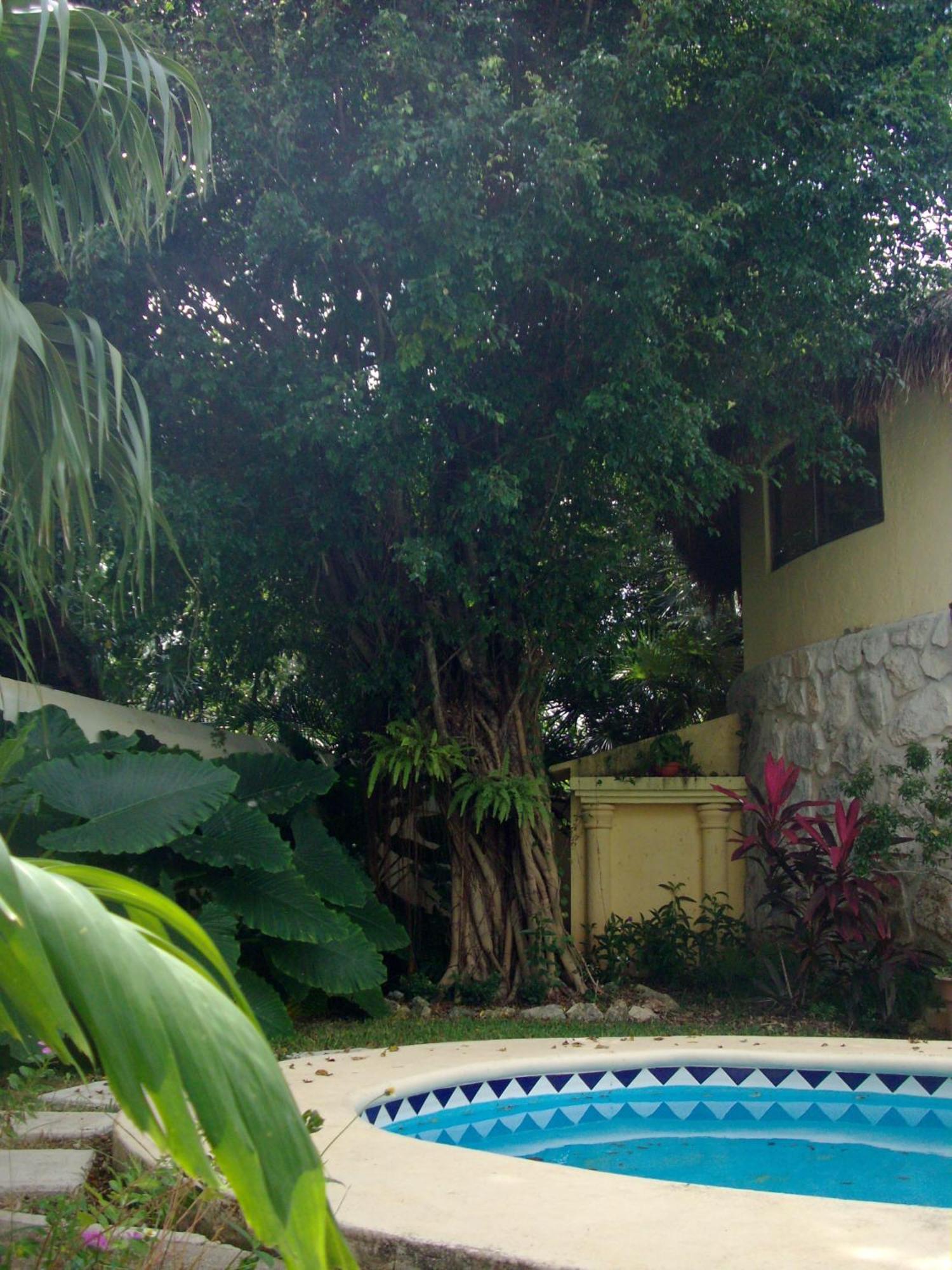 Residencia Los Encantos Cancún Exterior foto